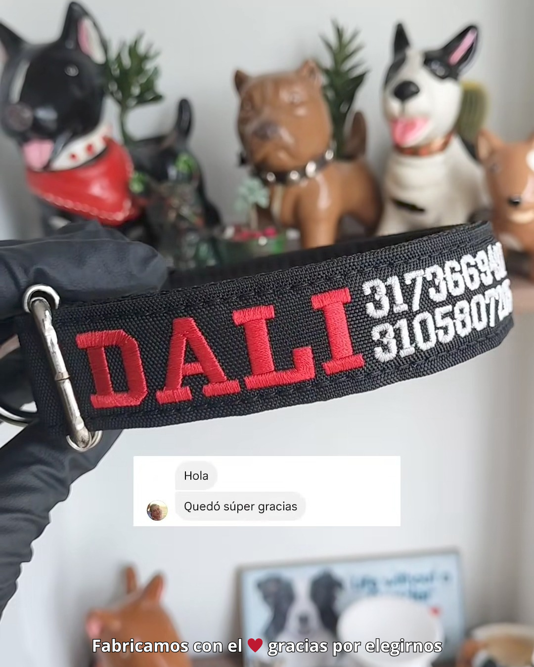 testimonio collar